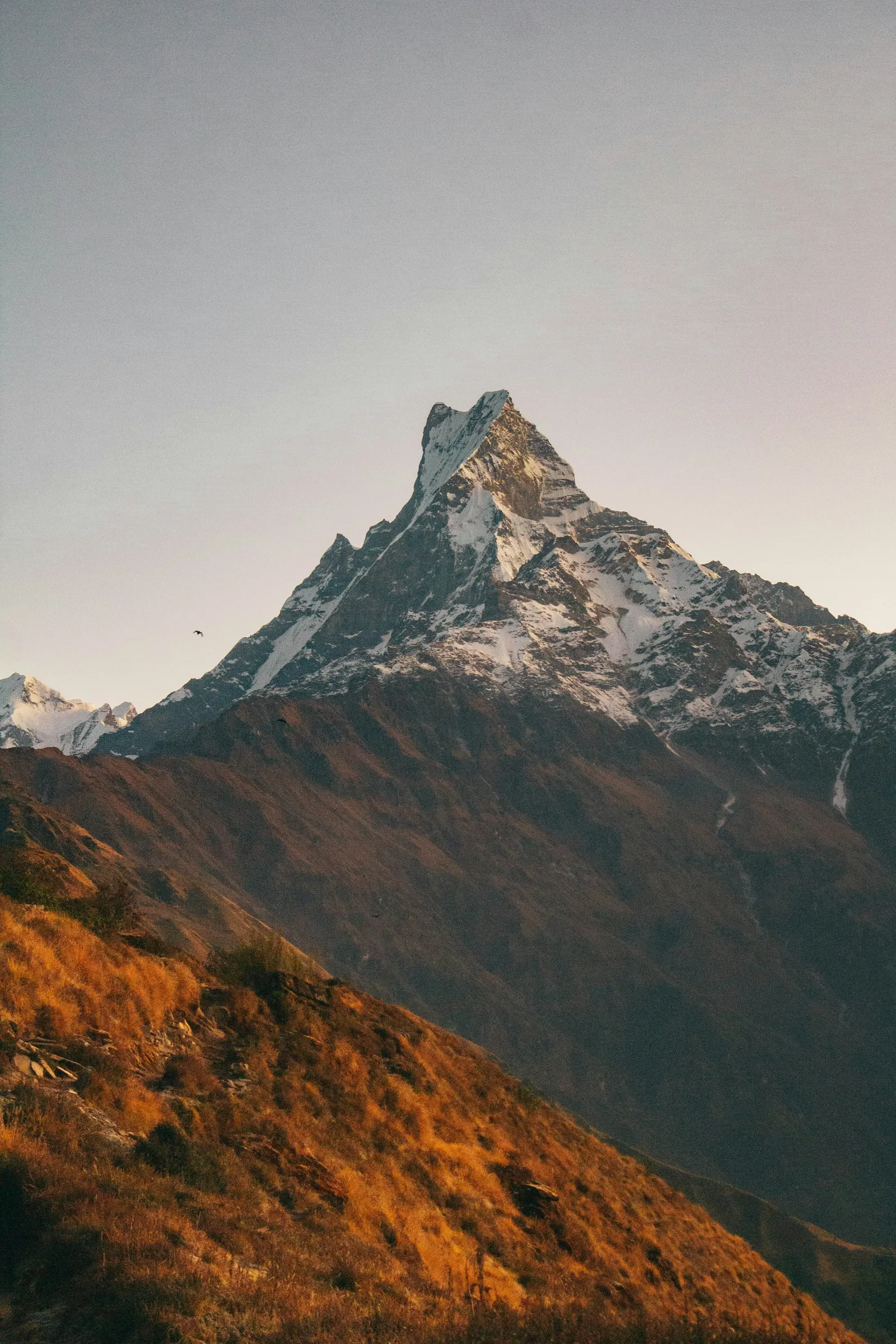 Mardi Himal face